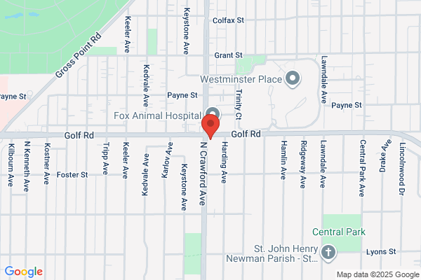 Golf Crawford Auto Service