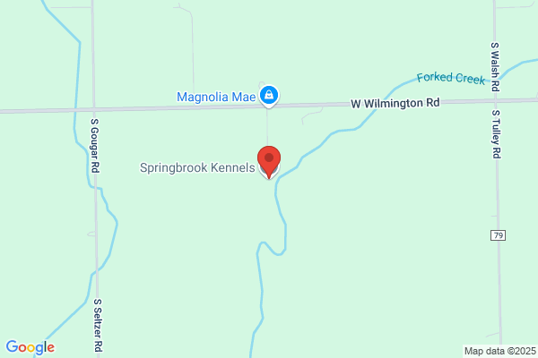 Springbrook Kennels