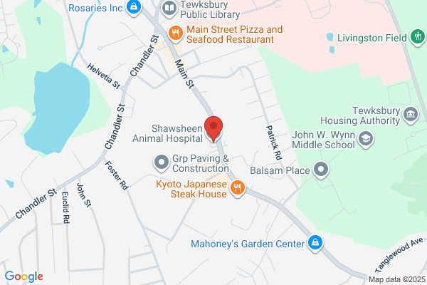 Shawsheen Animal Hospital