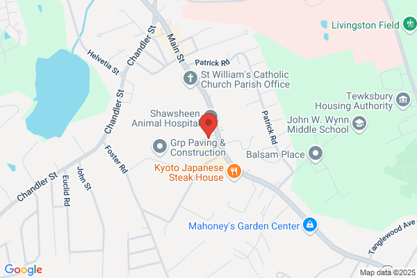 Shawsheen Family Dental