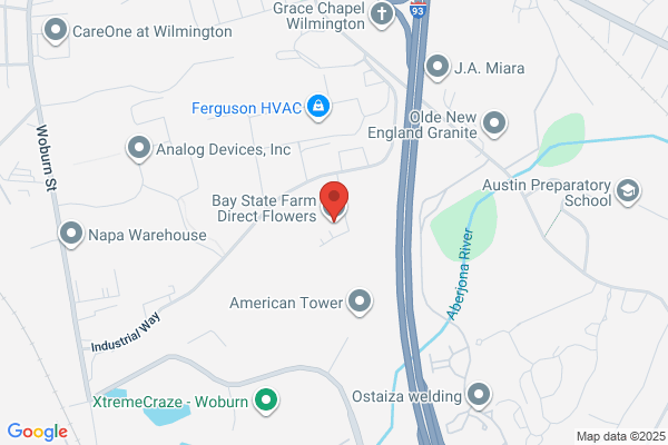 Baystate and Johnsons Direct Floral