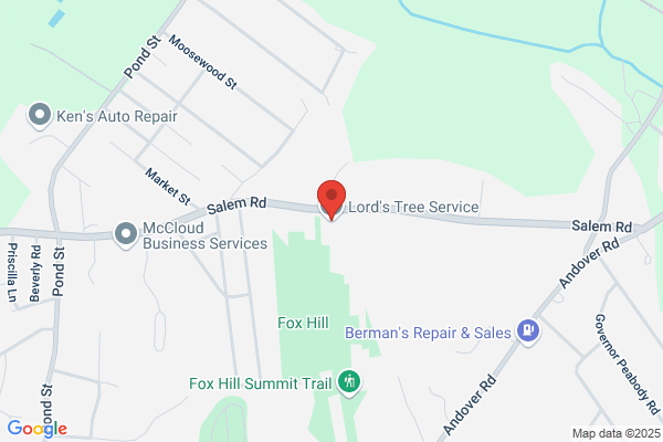 Lord's Tree Service LLC