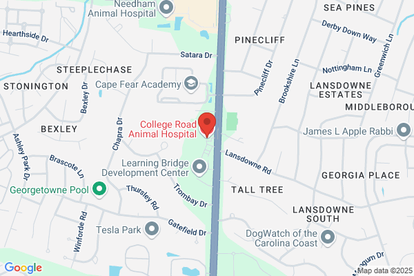 College Road Animal Hospital