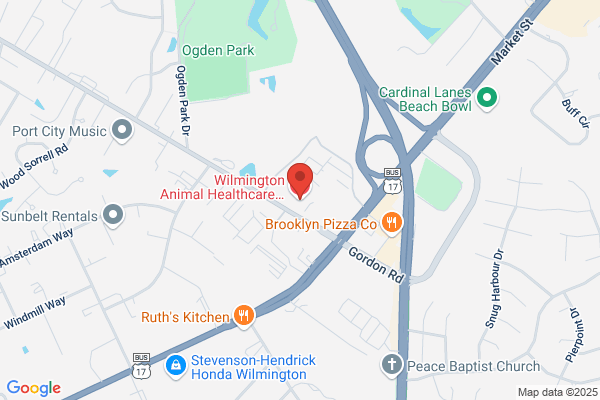 Wilmington Animal Healthcare Veterinary Hospital