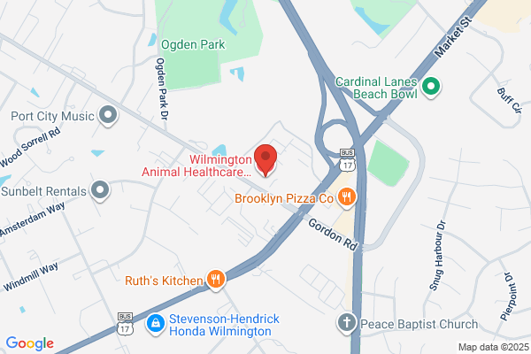 Wilmington Animal Healthcare