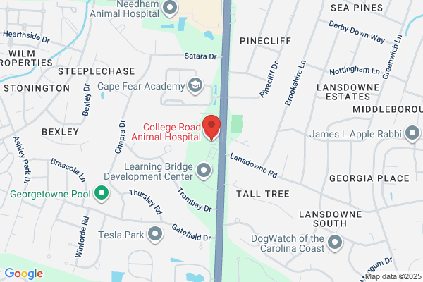 College Road Animal Hospital