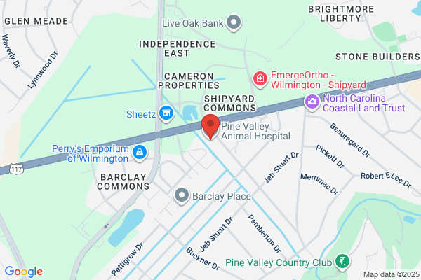 Pine Valley Animal Hospital