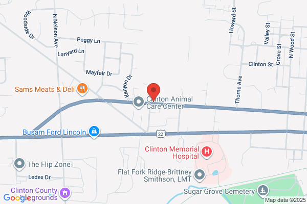 Wilmington  Medical Associates Inc