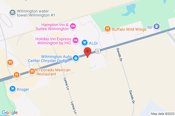 Bush Auto Place