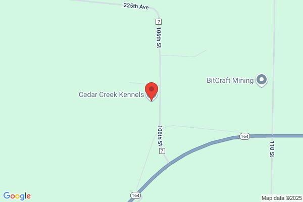 Cedar Creek Dog Boarding Kennel