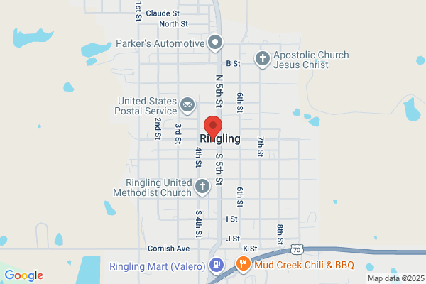 Ringling Eagle the