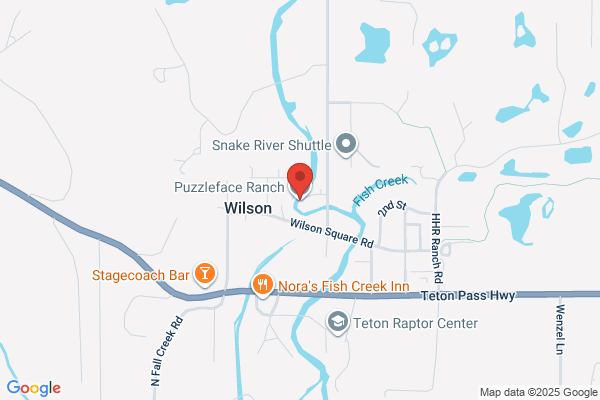 Puzzleface Ranch