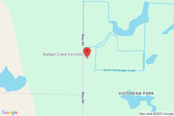 Badger Creek Kennels