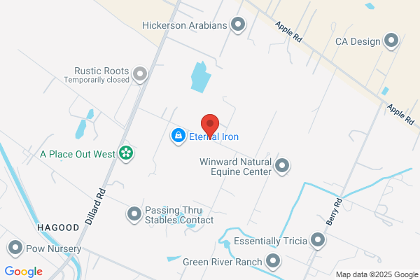 Fire Free Restaurant Flue Cleaning Co
