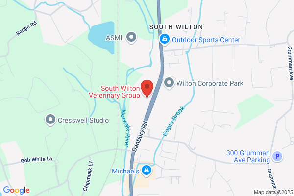 South Wilton Veterinary Group