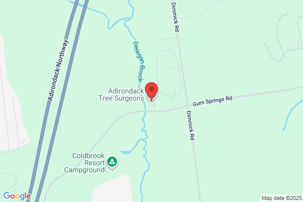Adirondack Tree Surgeons Inc