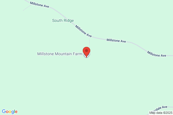 Millstone Mountain Farm
