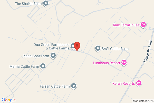 Black Gold Farm