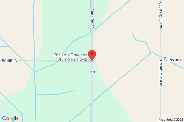 William's Tree & Stump Removal