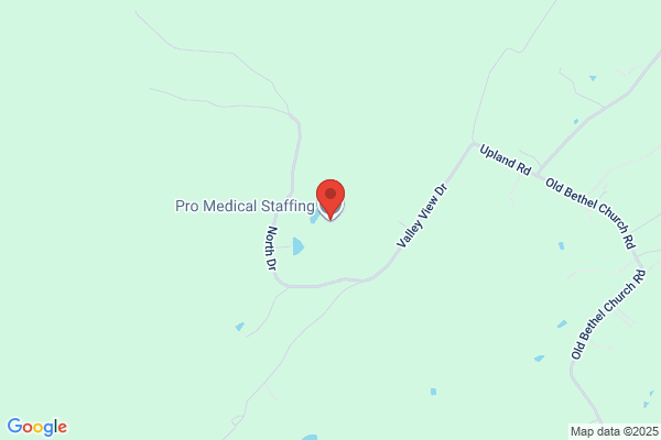 Pro Medical Staffing