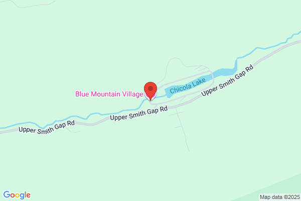 Blue Mountain Insurance