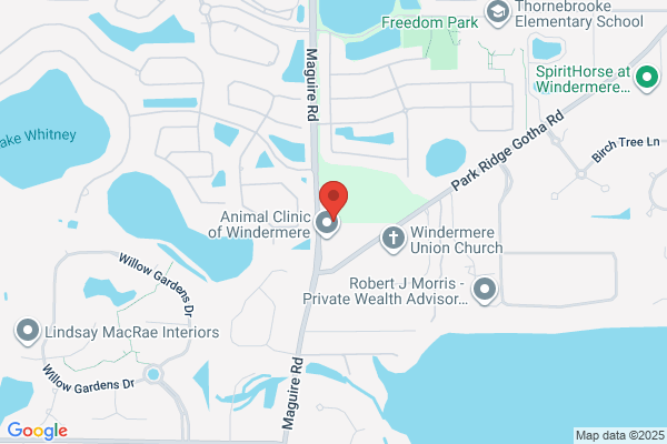 Chain of Lakes Cosmetic & Family Denistry