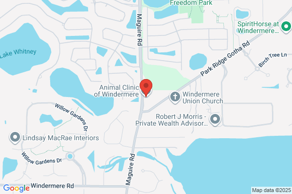 Animal Clinic of Windermere