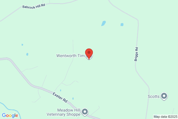 Wentworth Tim Attorney