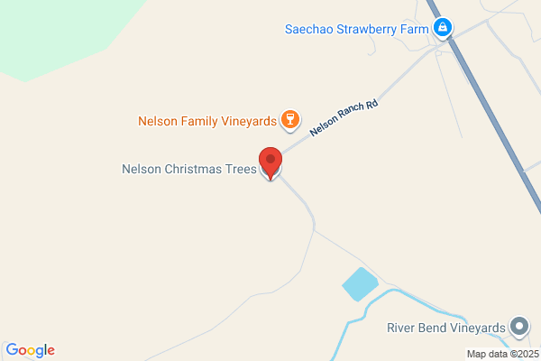Nelson Christmas Tree Farm