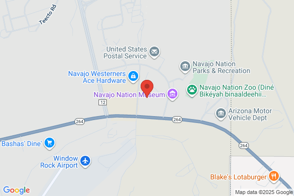 Navajo Nation the, Elections