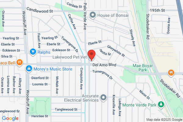Lakewood Pets