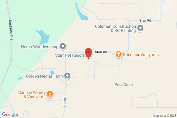 Starr Pet Resort