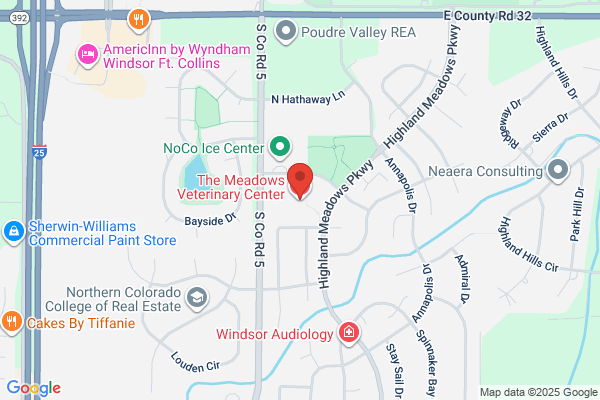 The Meadows Veterinary Center