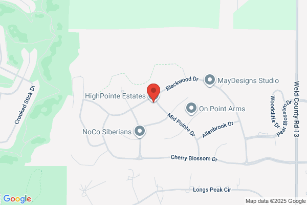 Highpointe Inc