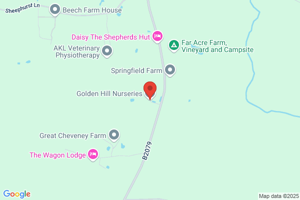 Golden Hill Nursery