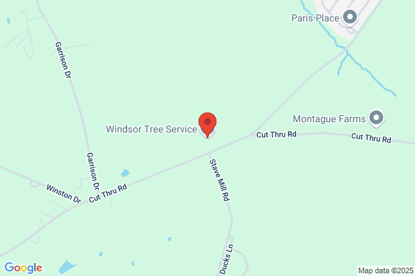 Windsor Tree Service