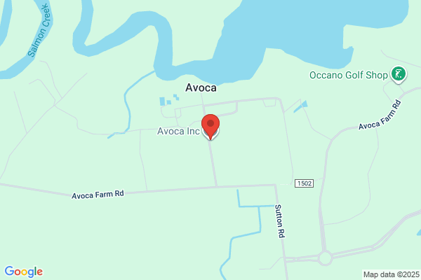 Avoca Inc