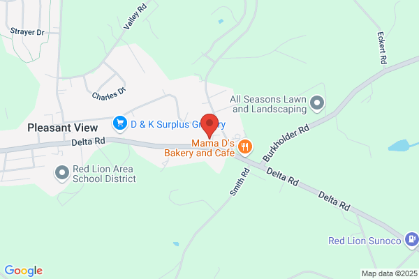 Lion Auto Service Inc