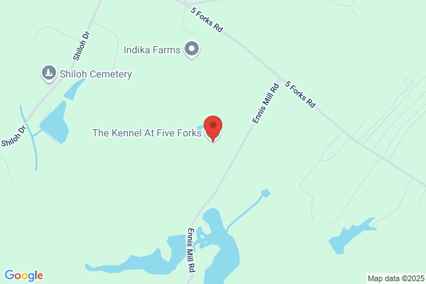 The Kennel At Five Forks