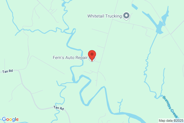 Fern's Auto Repair