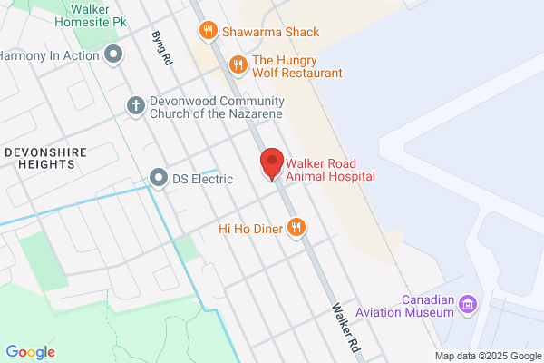 Windsor Veterinary Hospital