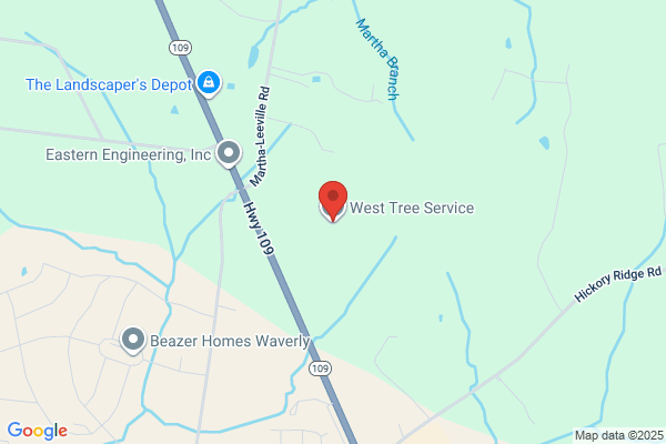 West Tree Experts