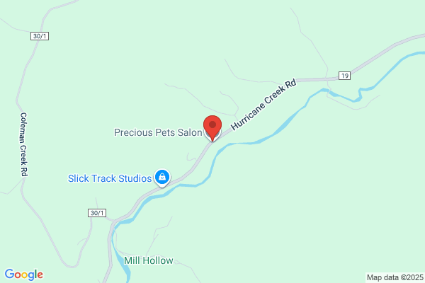 Precious Pets Salon