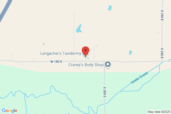 Larry's Taxidermy