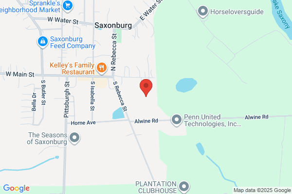 Saxonburg Ceramics Inc