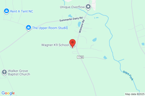 Wagner K9 School