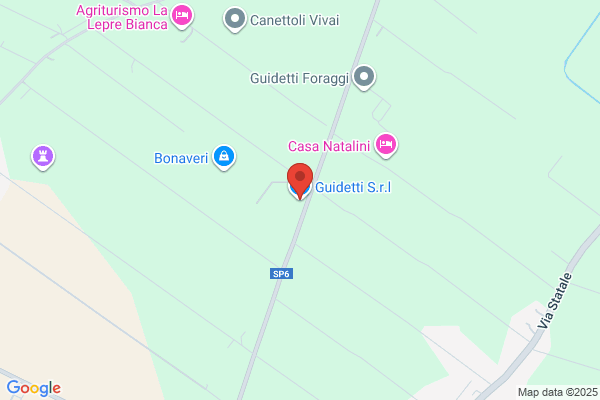 Guidetti's