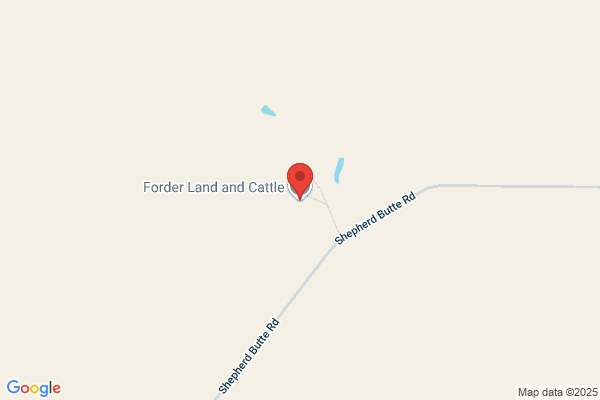 Ford Cattle Co