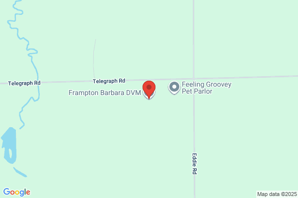 Frampton Barbara
