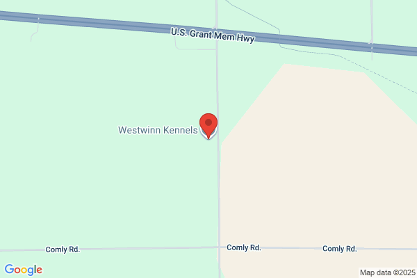 Westwinn Kennels